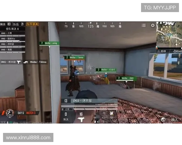 和平精英评论：RNG快攻策略的优劣分析与未来展望