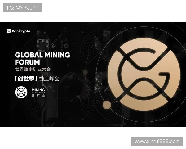 成都羽毛球队运营分析：成功经验与面临挑战的深度探讨