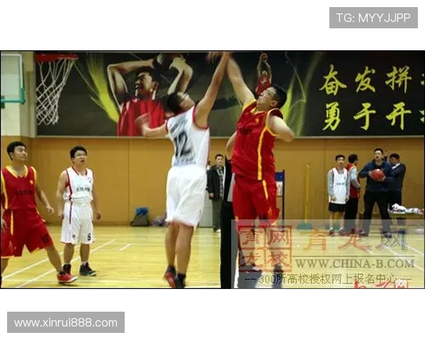 杭州篮球队在联合会杯中的技术表现全面分析与点评